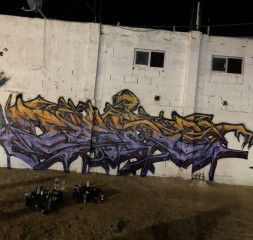 Daser bamc / Tijuana / Walls