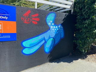 DEDOS 22 / Vancouver / Street Art