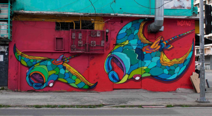 Insano / Panama City / Street Art