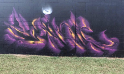 ZOINK / Australia Plains / Walls