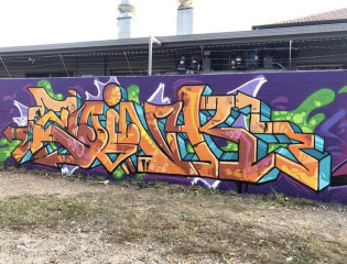 ZOINK / Australia Plains / Walls
