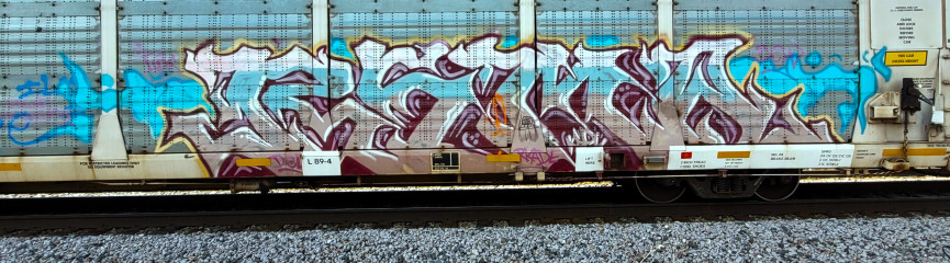 REMO / Olathe / Trains