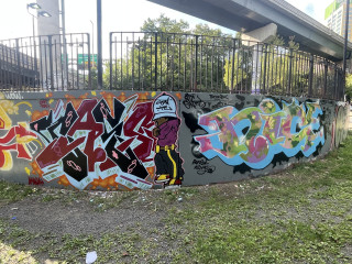 CAES NIC1 / Walls