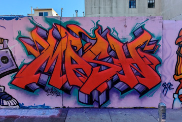 MASH - Ex Vandals / Walls