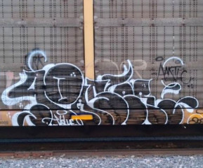 Paser / Freights
