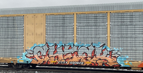 Check / Freights